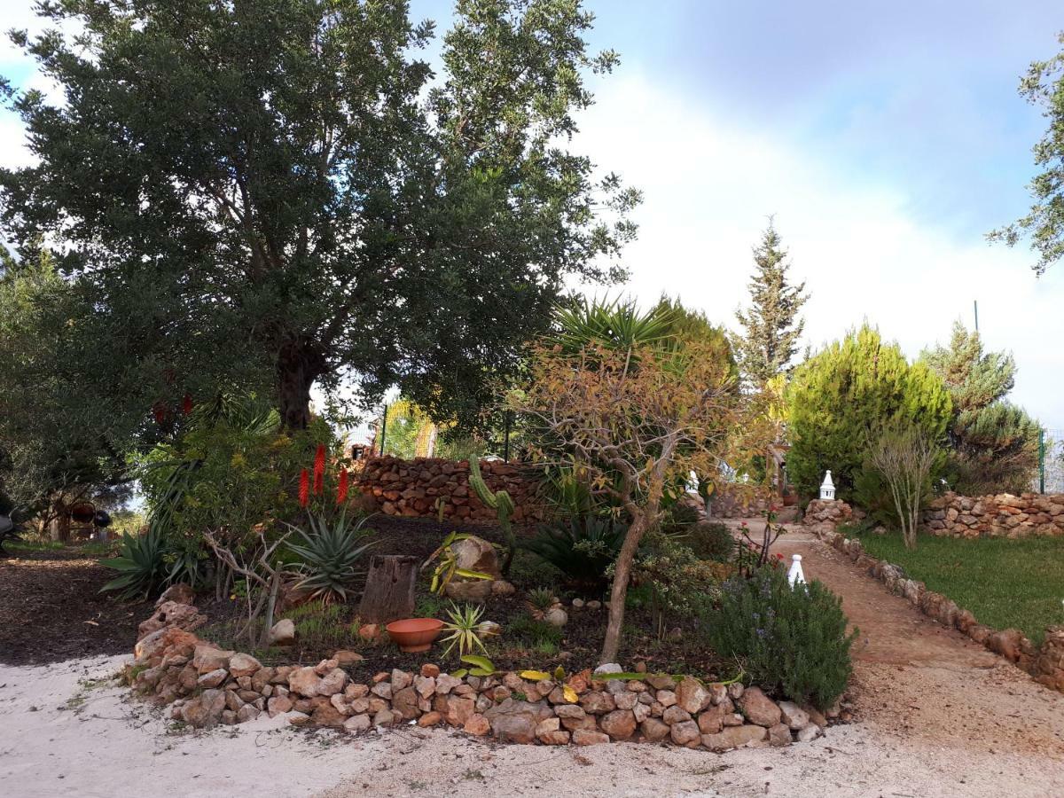 Quinta Teresinha Guest House Silves Exterior photo