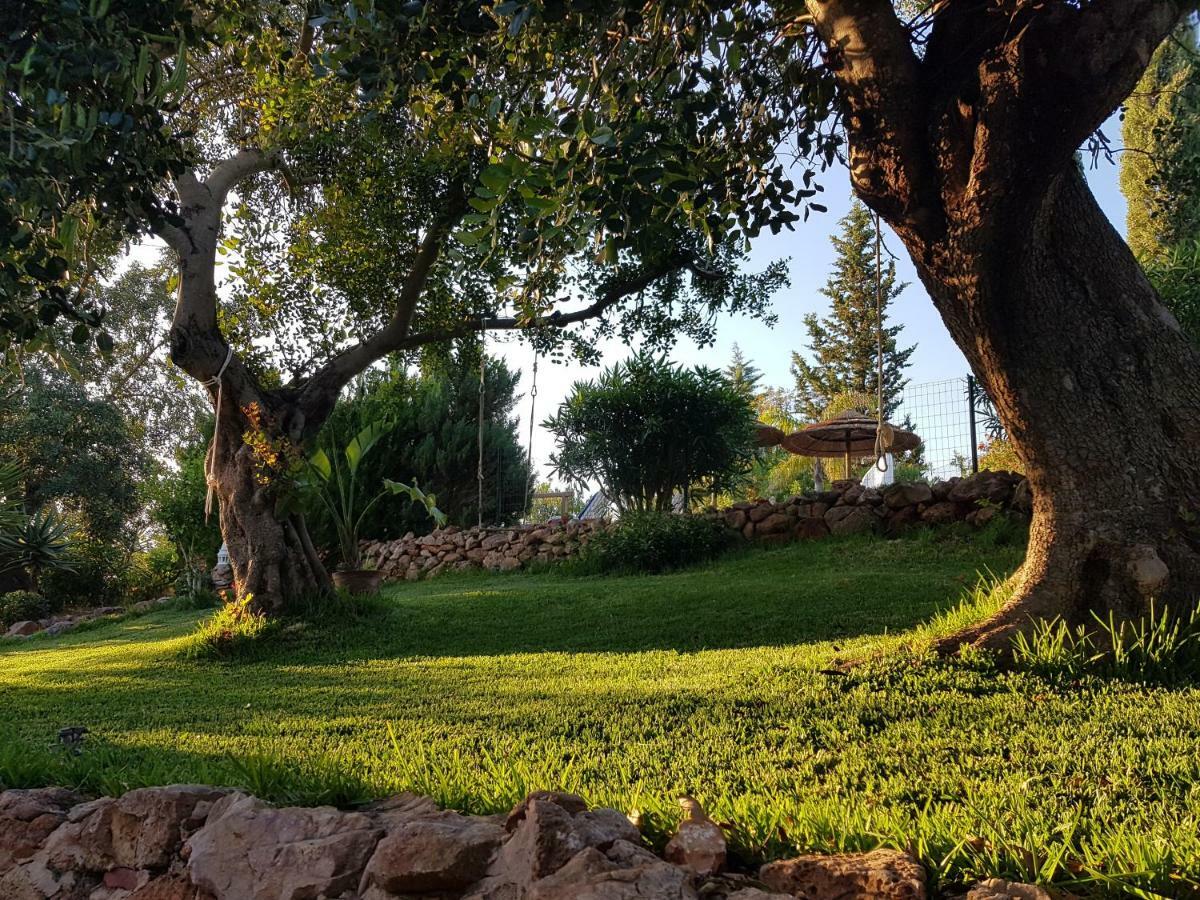 Quinta Teresinha Guest House Silves Exterior photo